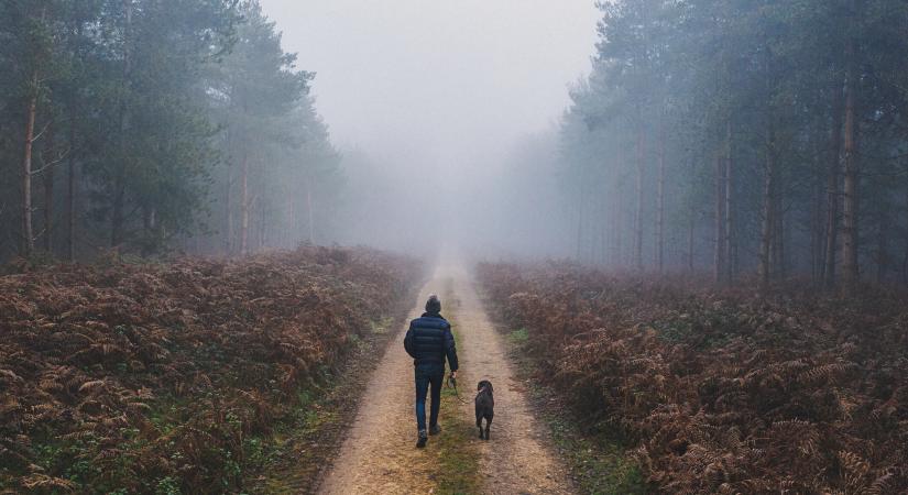 Orvosmeteo: a népi jóslat szerint kemény tél jön