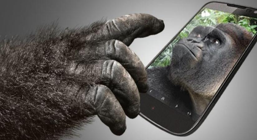 Trösztellenes vizsgálat alatt áll a Gorilla Glass gyártója