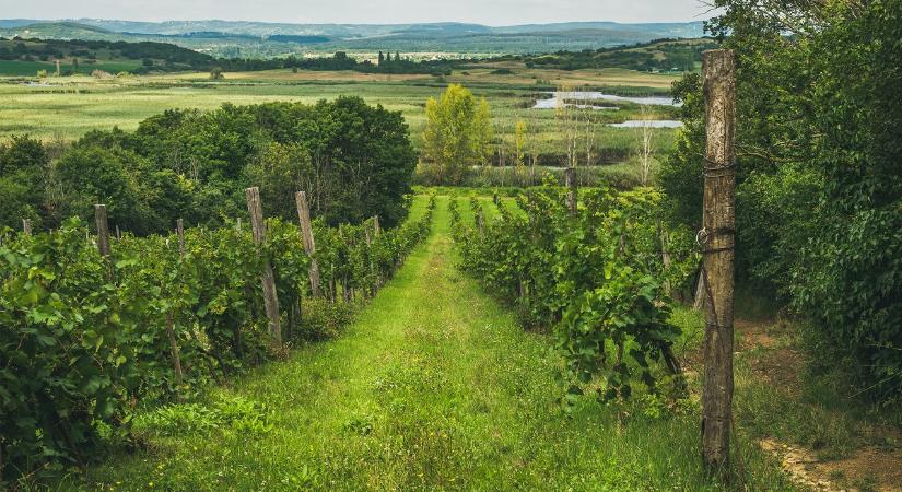 Balaton egész évben: Őszi és téli kikapcsolódás a Balaton-felvidéken