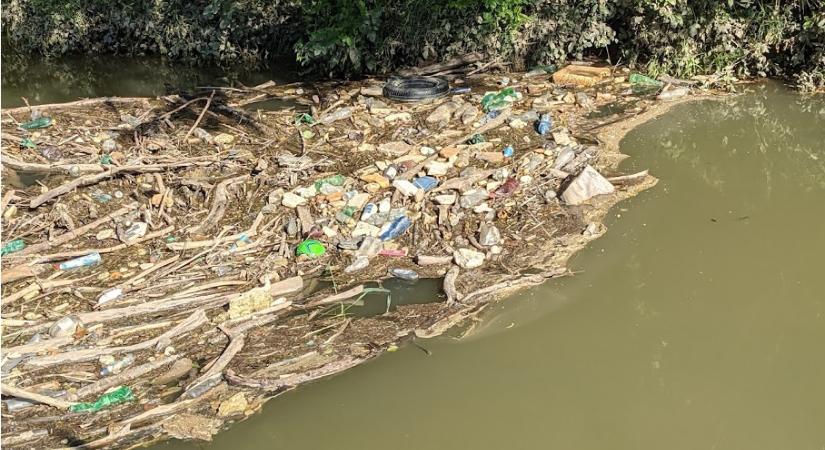 Tisztább, rendezettebb lesz a Bodrog és a Tisza partja