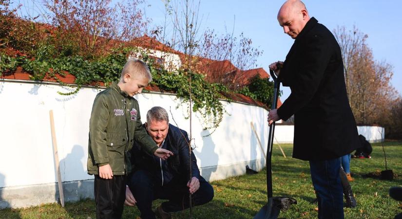 Pajtók Gábor és Vágner Ákos is fákat ültetett Egerben