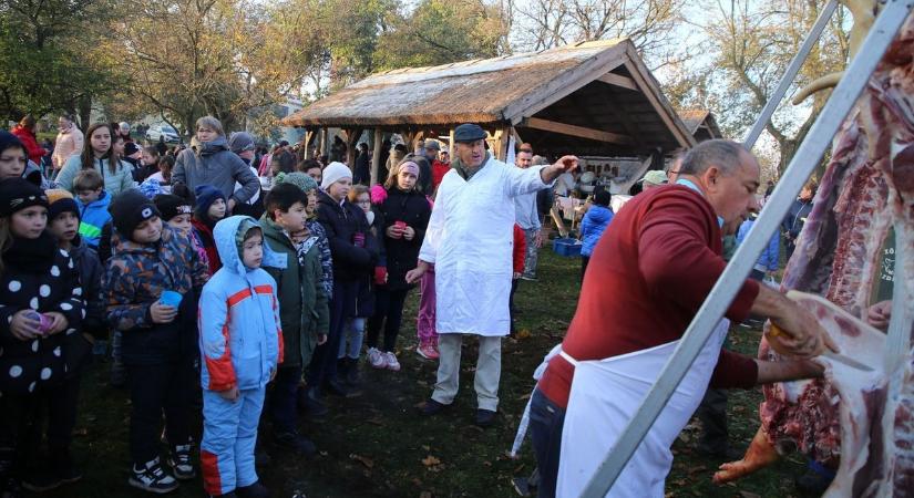 Rendhagyó biológiaórát tartottak az iskolában a falusi disznóvágásról - galériával, videóval