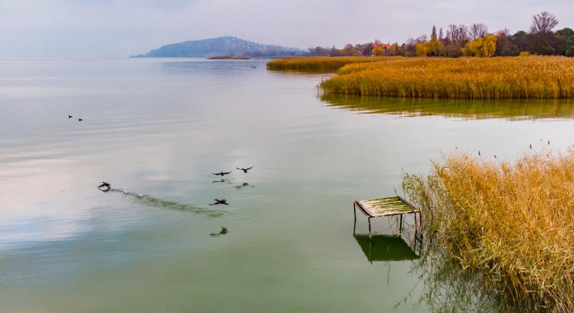 82 éves dédnagymama fürdött a jéghideg Balatonban – fotó