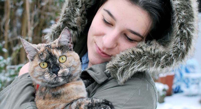 Ipari hó esett Dunaújvárosban: kell-e félteni a macskákat tőle?