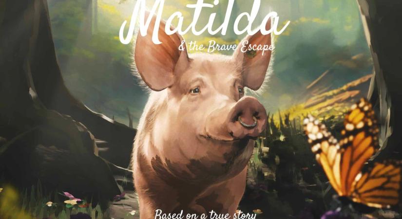 Animációs film meséli el Matilda, az anyamalac és kölykei menekülésének igaz történetét