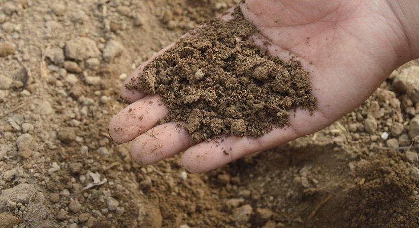 Talajminőség-védelem kötött talajon – lehetőségek és korlátok