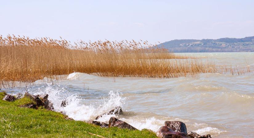 82 éves dédi csobbant a tízfokos Balatonban