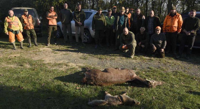 Vadászok lepik el a Szekszárd környéki területeket