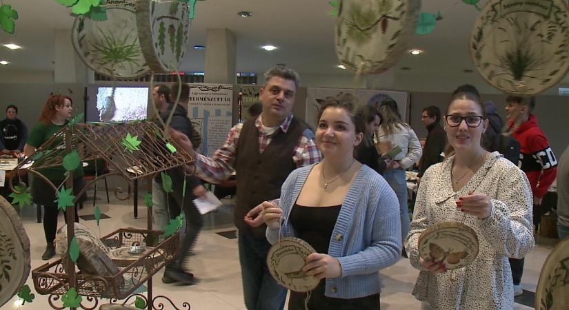 Botsáska-sétáltatás és tápláléklánc-alkotás is volt a debreceni Zöld Börzén – videóval