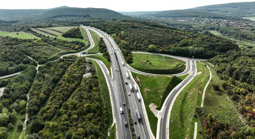 M1-es bővítés: 6 helyszínen 7 védett növényfaj él a pálya mellett, botanikus telepíti át őket