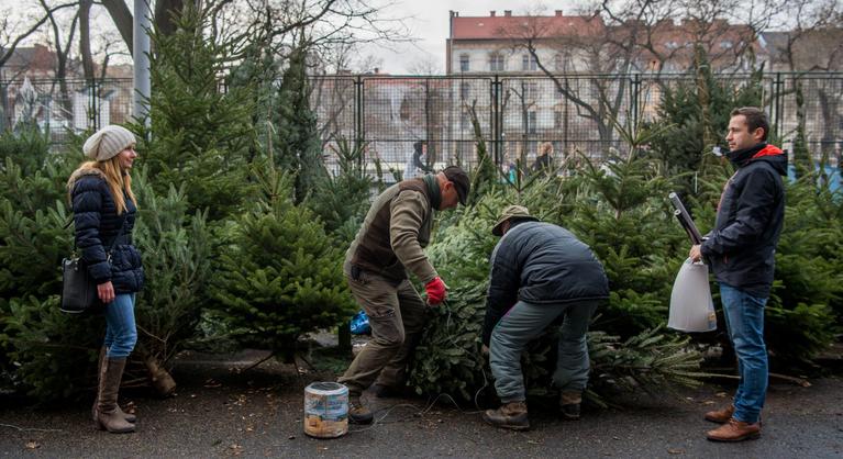 Soha sem nyílt még ekkorára karácsonykor a magyarok pénztárcája