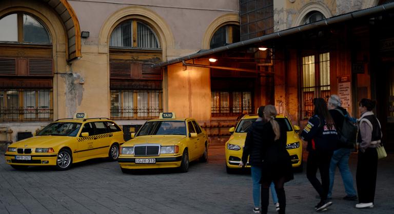 Hiénákat rögzítettek a kamerák a Keleti pályaudvarnál