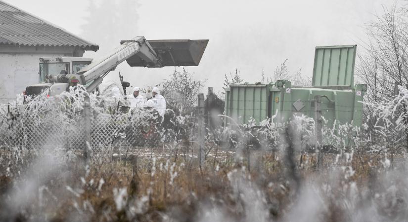 Baranyában is megjelent a madárinfluenza