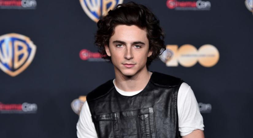 Timothée Chalamet elárulta, hogy eleinte a testalkata miatt nem kapta meg a filmszerepeket