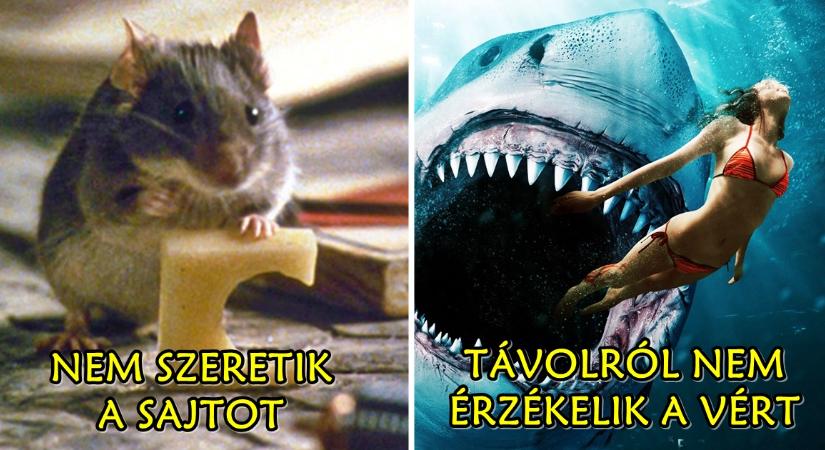 10 agyon használt filmklisé, amelynek nincs semmi köze a valósághoz