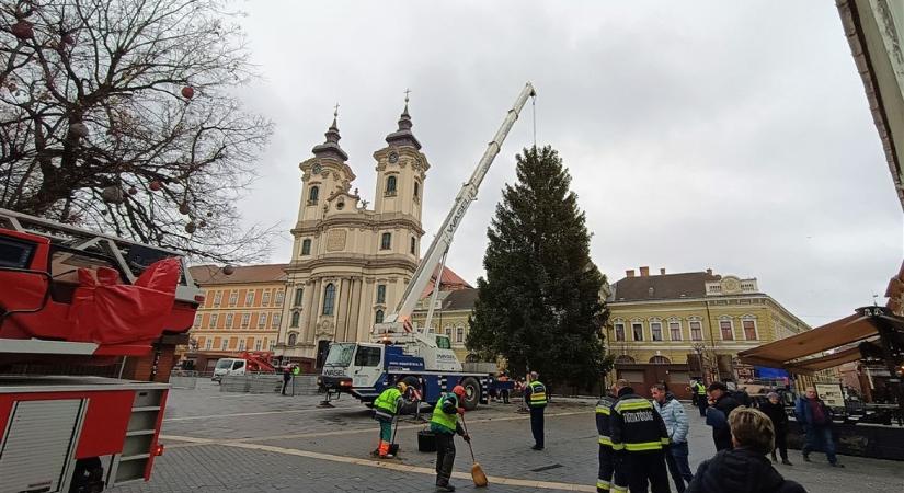 Tizenkilenc méter magas Eger karácsonyfája, már a Dobó téren áll - VIDEÓ