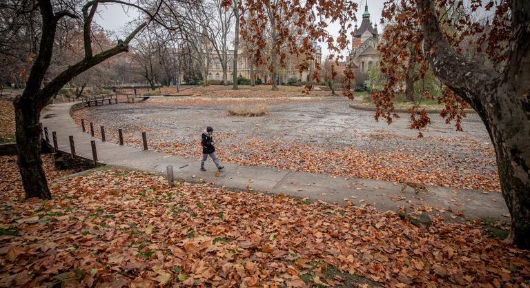 A hideg ellenére is vibráló programokat kínál a főváros