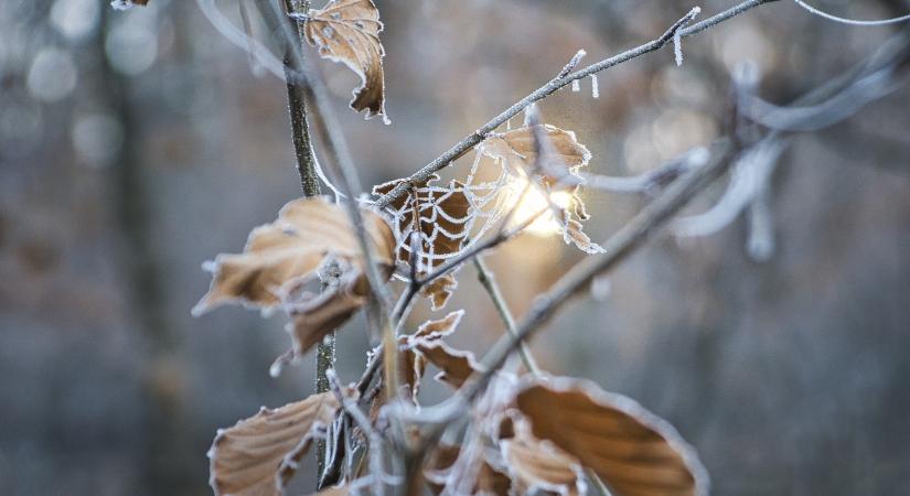 Jól érzi: sokkal hidegebb a november a megszokottnál