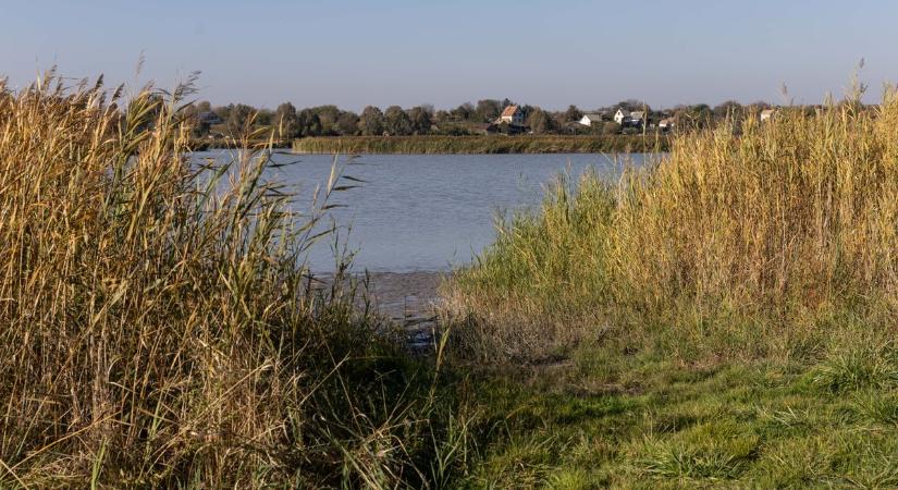 Nem tudtak megegyezni a tatai képviselők  videó