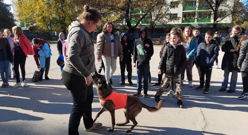 A Petőfi iskola nem versenyistálló, de boldog gyerekeket nevelnének