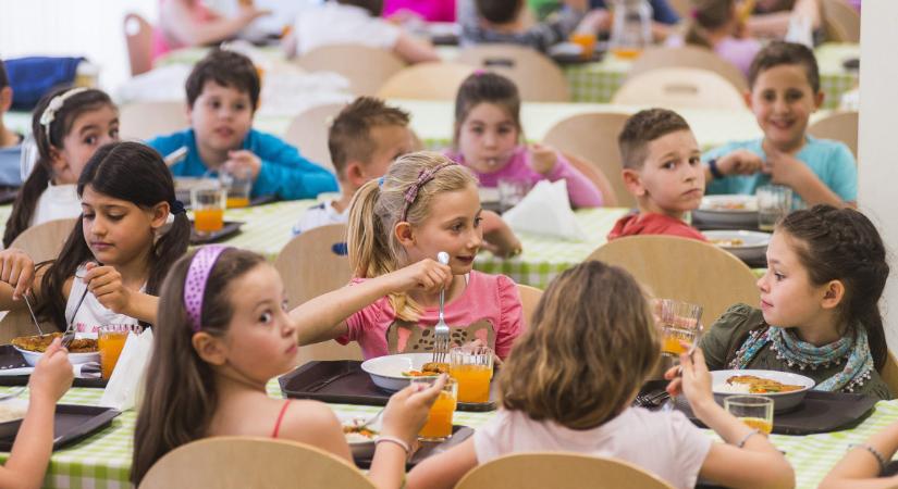 Az NNGYK az allergének menzai kitiltásáról: ez nem csak a gyerekeket érinti