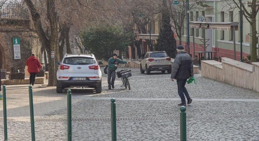 Szekszárdi zöldterületek veszélyben?