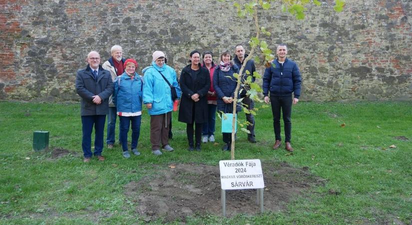 Véradók Fája került Sárváron a Nádasdy-vár parkjába