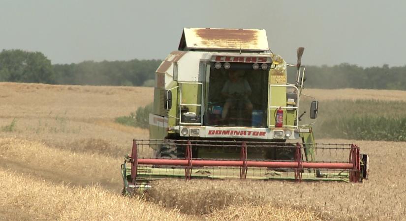 Végéhez ért az idei betakarítás és a vetés