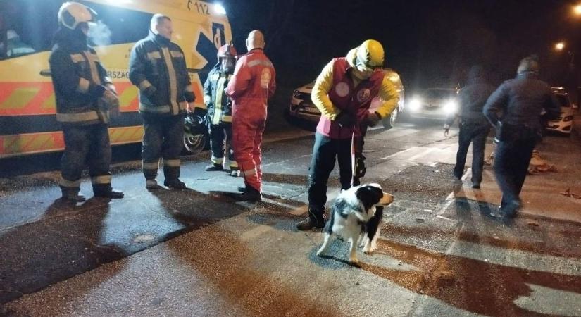 Gázrobbanás Miskolcon: három kutyával keresték a romok alatt az áldozatokat