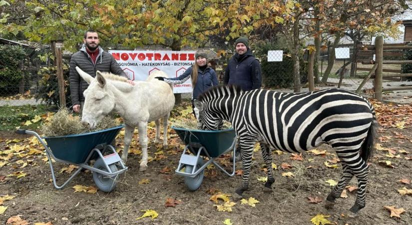 Ajándék talicskákból falatoznak a Gyöngyösi Állatkert lakói