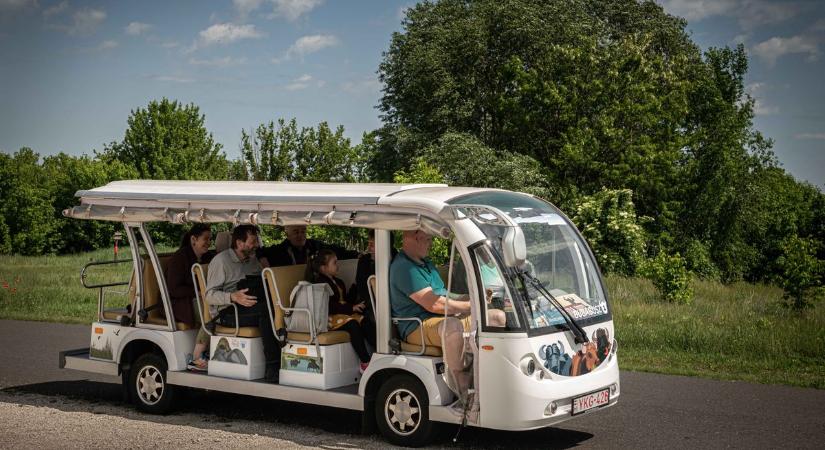 Fenntarthatósági minősítésen dolgozik Mórahalom