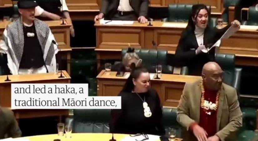 Tradicionális maori harci tánccal szakították meg az új-zélandi parlament ülését (VIDEÓ)