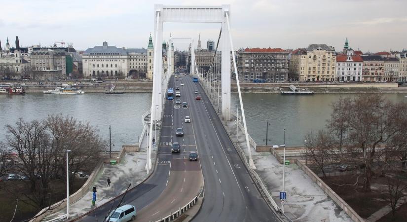 Kis híján tömegbalesetet okozott egy rémült kutya az Erzsébet hídnál