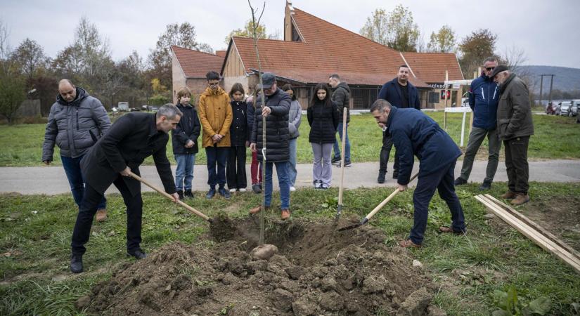 Több mint félezer településen zajlik a Településfásítási program