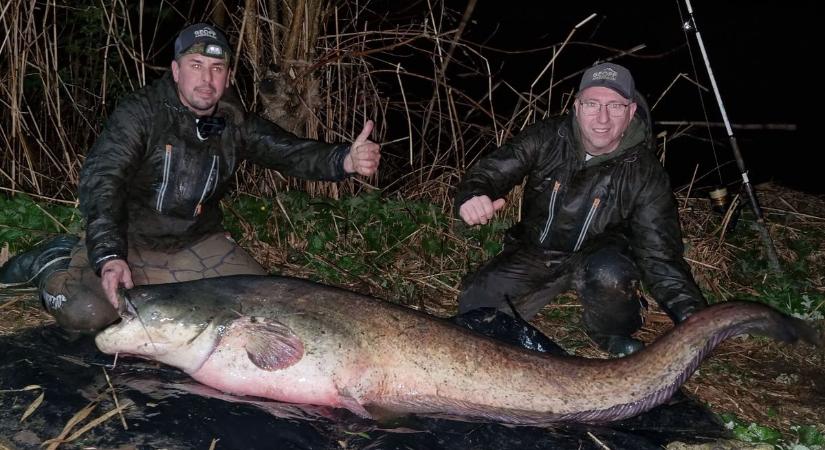 Óriásharcsákat rejt a fővárosi Naplás-tó