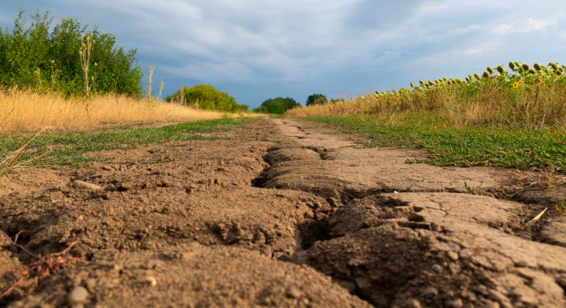 Forradalmi javaslat született, így oldanák meg a magyar gazdák problémáját