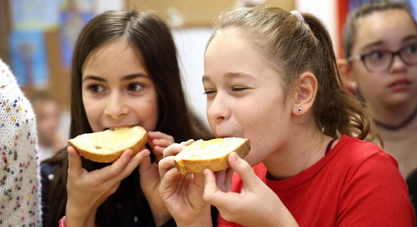 Mézes reggelivel várták a toldis diákokat – édes élet a Zselic aranyával