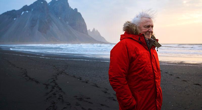 David Attenborough négy éven át forgatta legújabb dokumentumfilmjét