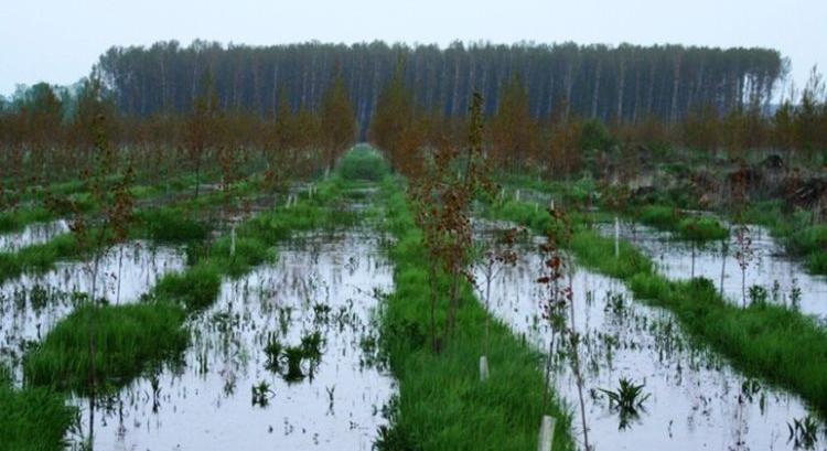 Biológiai talajerő-gazda(g)ság cikksorozat – 24. rész