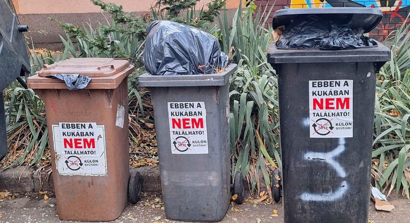 Szolgálati közlemények új szerepben Szegeden