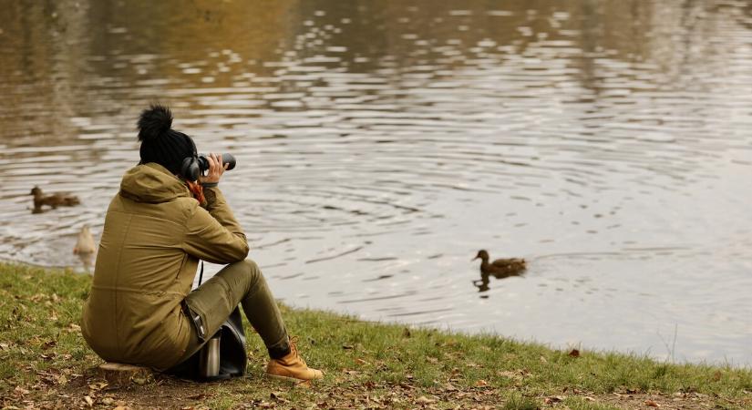 Négyévszakos Balaton – fotópályázatot hirdet a National Geographic