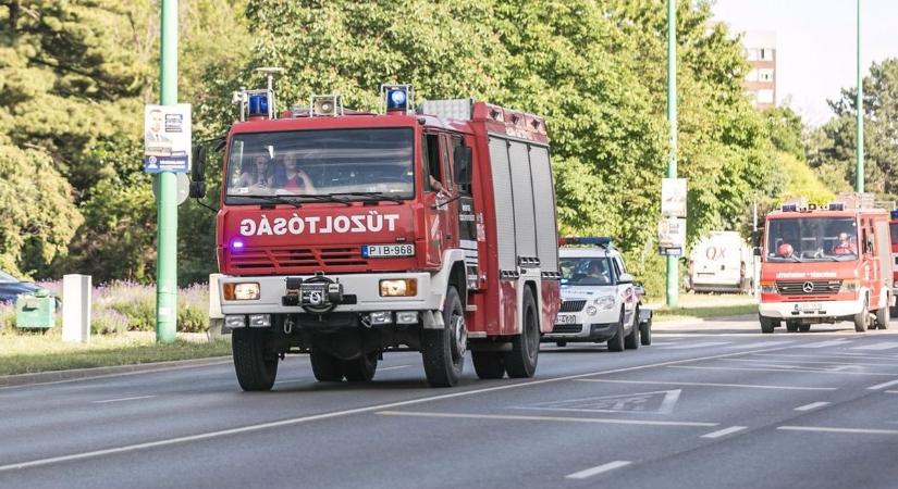 Több vízsugárral kellett oltani egy hétvégi házat Nagymaroson  kép