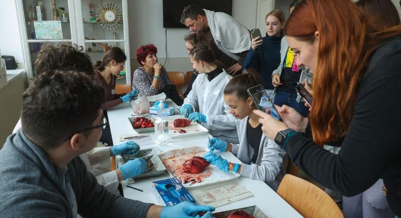 Labdát lebegtettek, marhaszemet boncolhattak a látogatók–galériával, videóval