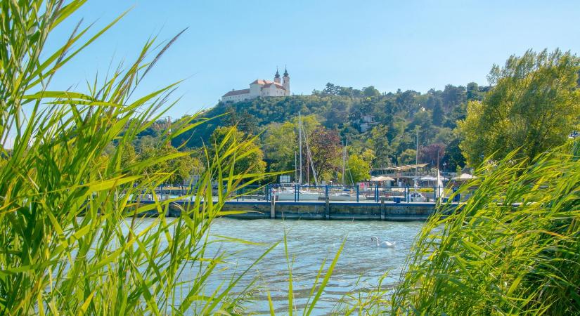 Több száz kilós ragadozót láttak a Balaton környékén, hatalmas a pánik