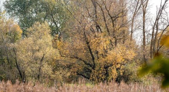 Közeleg a változás, fenekestől felfordul időjárásunk