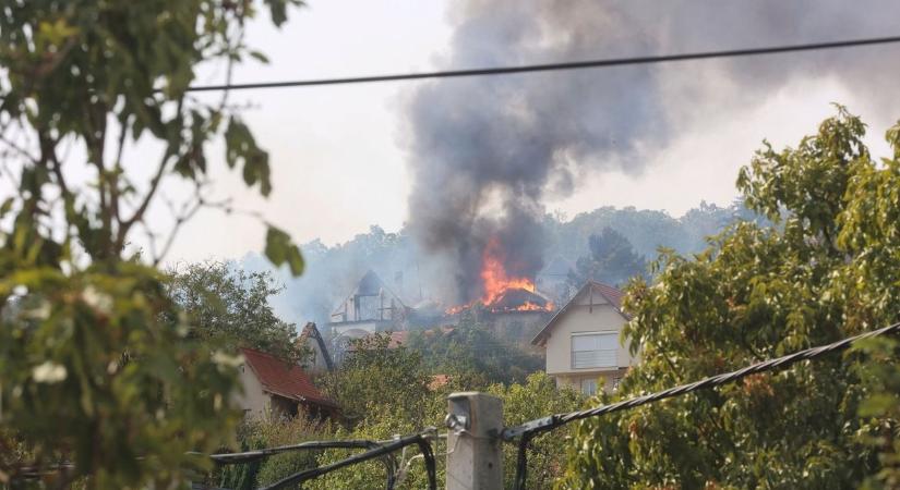 Patacsi tűzvész: szerdán tartják az első tárgyalást a Pécsi Járásbíróságon