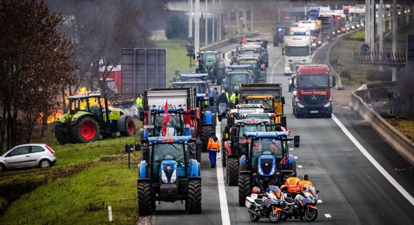 Hígtrágya és pogrom Hollandiában