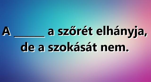 Napi közmondás feladat: Ki tudod egészíteni?