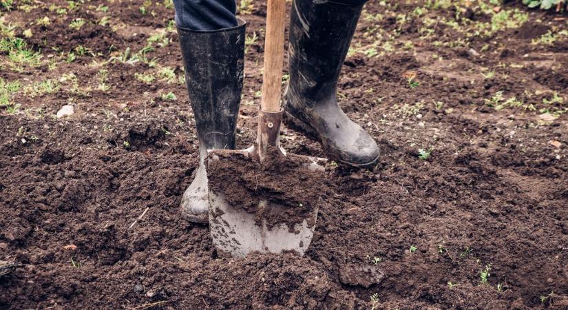 Még 18 sem volt, mikor elkapták a kis dílert - társa elásta a bizonyítékokat