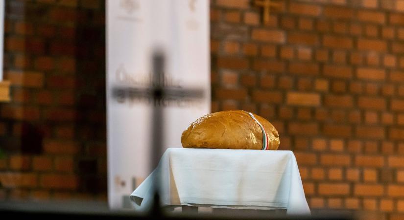 Katolikus Karitász: A szeretet cselekedetei mindannyiunk számára kötelesség